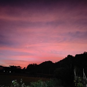 车水马龙间的离乡哀愁