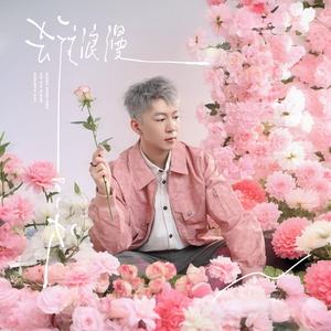 爱死这一无是处的浪漫