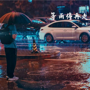 等雨停再走