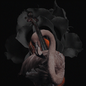 Toca Flamenco Junto al Lago