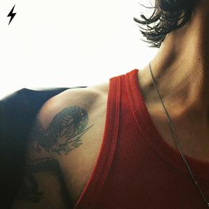 Dragão No Meu Ombro