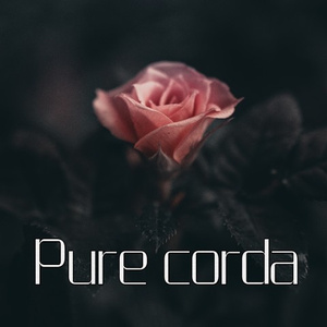 토요일엔 쉬고싶다