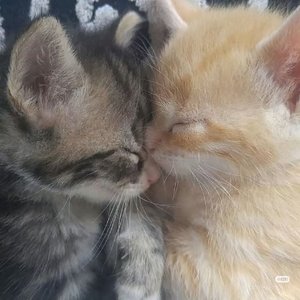 晚安（钢琴版）