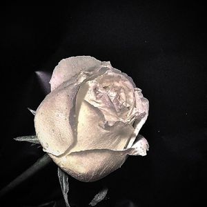 这次我认真的像个小孩