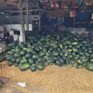 Не могу молчать когда идёт война