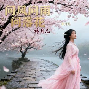 问风问雨问落花