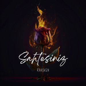 Sahtesiniz