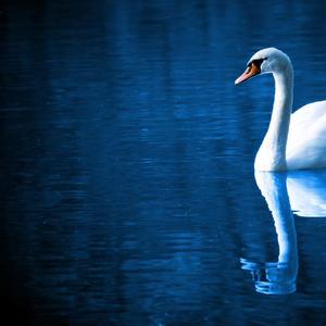 sdfviohuridsvygubdfiu fgasjgiedou