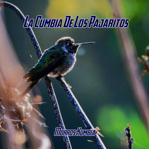 La Cumbia de los Pajaritos