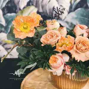 午后阳光 (海浪声+钢琴)