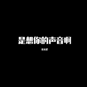 苏星婕-风吹过八千里