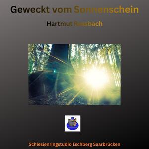 Geweckt vom Sonnenschein