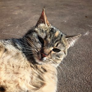 万千星辰中的一颗