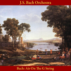 Air On The G String, from Orchestral Suite No. 3 in D Major, BWV 1068
