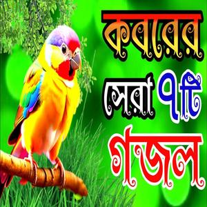 কবরের সেরা ৭ টি গজল | very nice gajal | new gojol | gojol | gojal | best gojol | বিরহের গজল