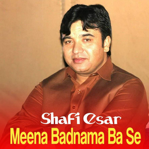 Meena Badnama Ba Se