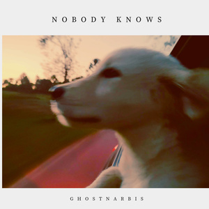 Nobody Knows