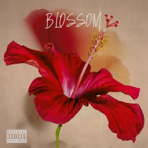 Blossom