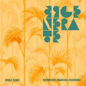 Regenerate (Madraas Remix)
