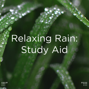Rain Sound