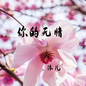 你的无情