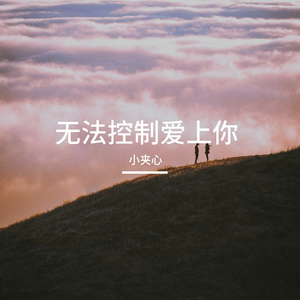 无法控制爱上你