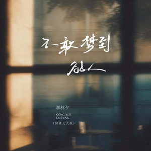 不敢梦到的人（DJ豪大大版）