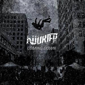 COMING DOWN (feat. After Hour Animals)