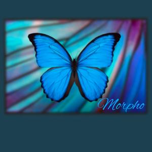 Morpho
