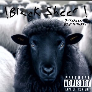 Black Sheep
