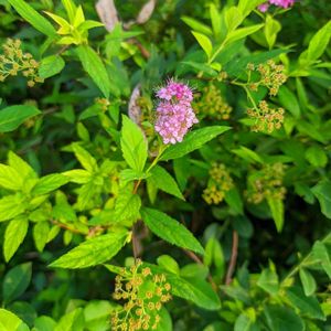 空白剧本_84194866685754881_1766670555857