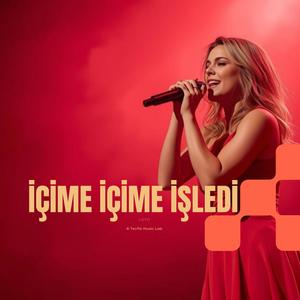 İÇİME İÇİME İŞLEDİ