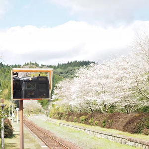 是风动（翻自 银临）