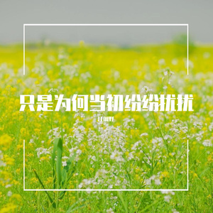 只是为何当初纷纷扰扰