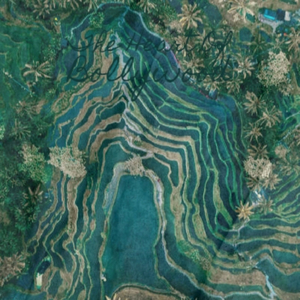 Bright Eastern Nights