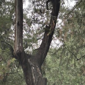 抽了三年煊赫门