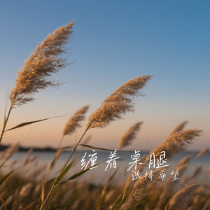 缠着桌腿