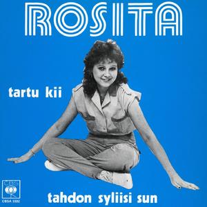 Tahdon syliisi sun