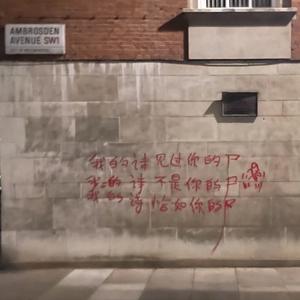 我的诗不是你的诗