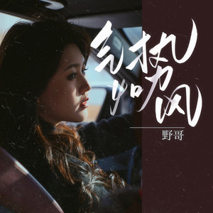 气势如风 (DJ版)