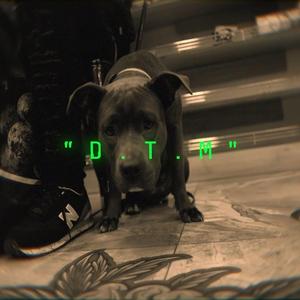D.T.M