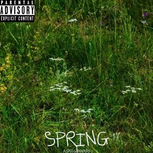 Spring（Prod By Roccky)