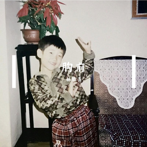 徐良-胸前（林脸盲 remix）