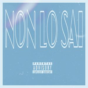 Non Lo Sai (feat. Cay la Vie, Vinnyboymisfit & FTG K4sh)