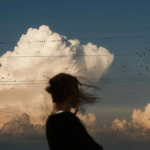 Solana(旷野与自由)