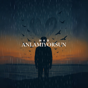 ANLAMIYORSUN