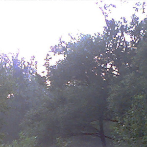 Вай ис лав соу лоунли?