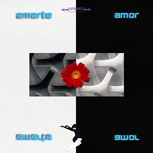 Amarte Amor (Versión extendida)