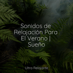 Armonía