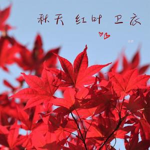 秋天 红叶 卫衣（纯音乐）